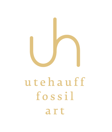 Das Logo von Ute Hauff fossil art.