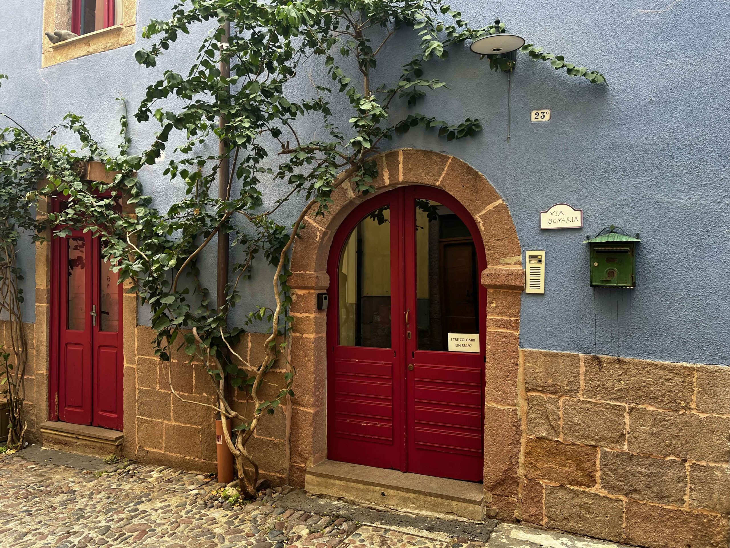 Ein freundlicher Hauseingang mit einem Rundbogen aus braunem Naturstein und einer roten Türe. Die Hauswand ist in einem freundlichen Blauton gestrichen und links neben der Tür wächst ein Strauch, der mit seinen Ästen bis über den Türbereich reicht.