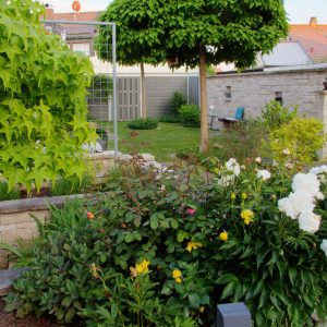 Ein Blick in einen wunderschönen Garten mit gelben und orangefarbenen Rosen, weißen Pfingstrosen und Bäumen. Im Hintergrund an einer Natursteinwand befindet sich eine dunkelbraune Bank aus Harthölzern.